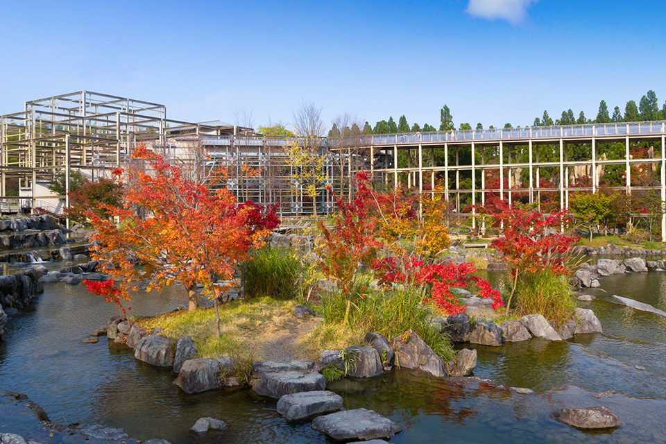 隨意享受 6個在京都可以看到紅葉的公園 Caedekyoto カエデ京都 紅葉と伝統美を引き継ぐバッグ