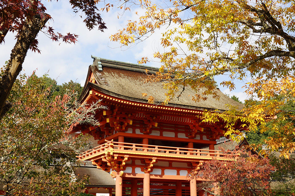 上賀茂神社の魅力や歴史とは Caedekyoto カエデ京都 紅葉と伝統美を引き継ぐバッグ