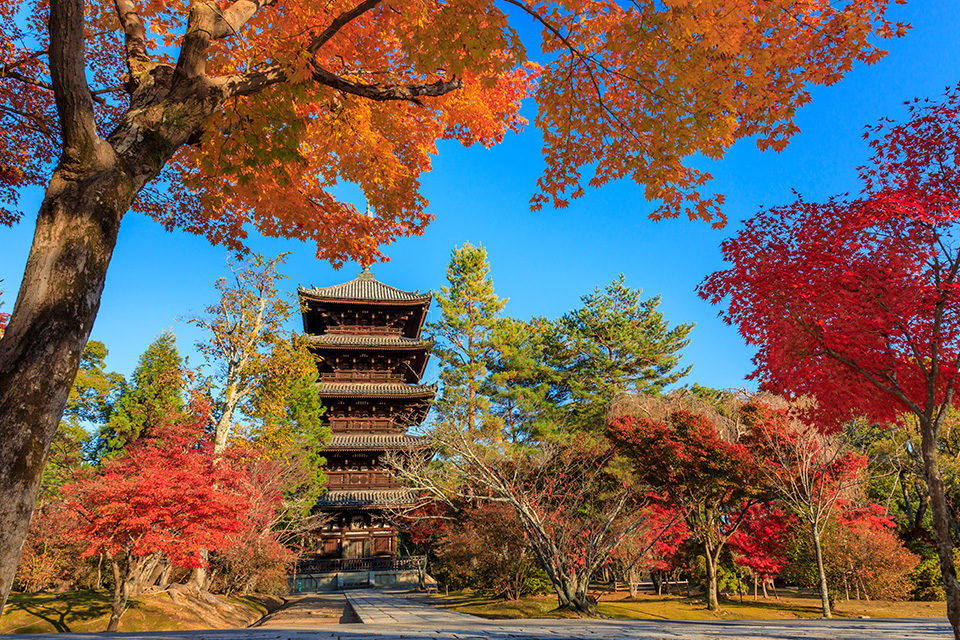 京都紅葉之旅 京都各區的推薦紅葉景點及隱秘景點集合 Caedekyoto カエデ京都 紅葉と伝統美を引き継ぐバッグ