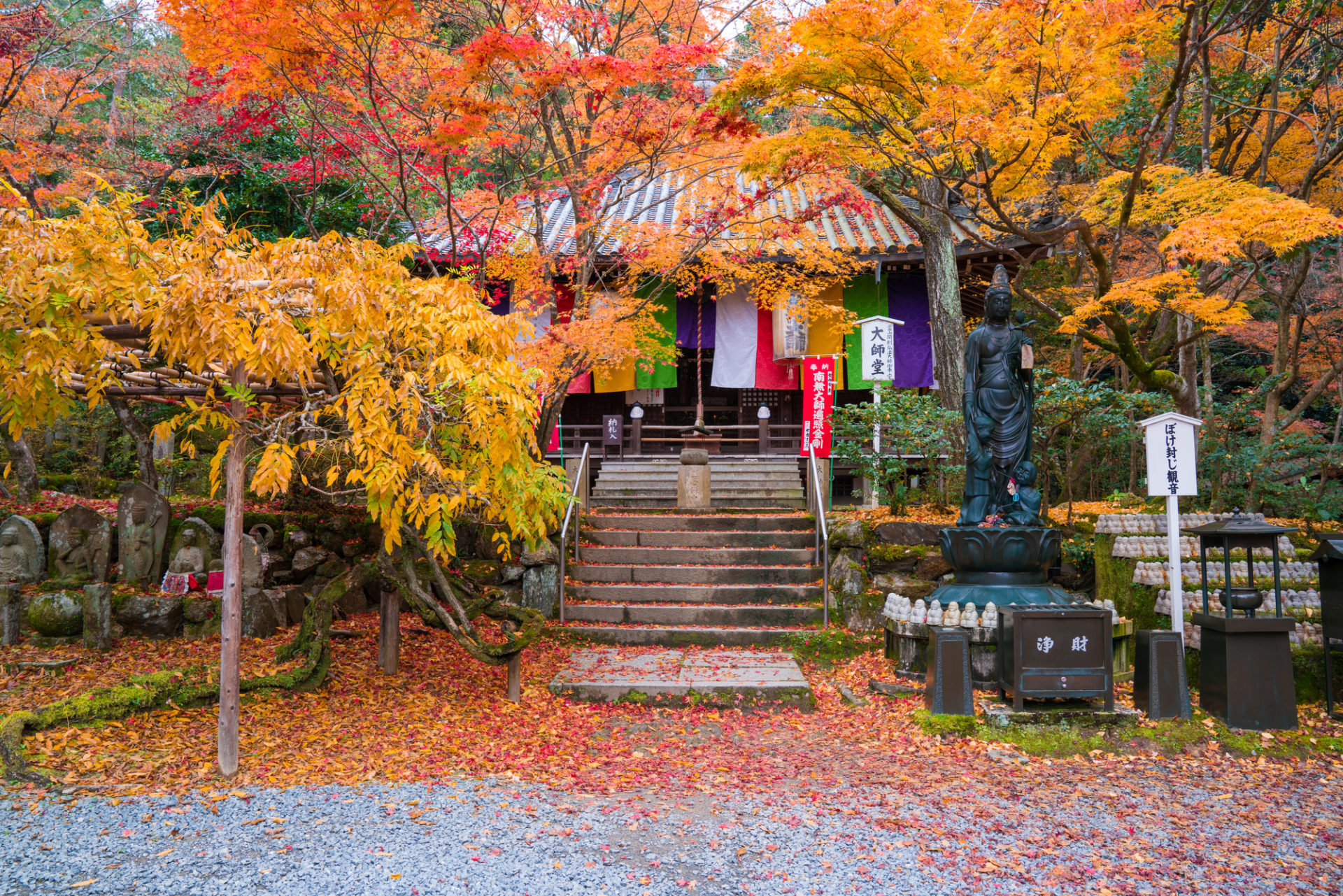 哲學之道 永觀堂 南禪寺 清水寺 東福寺 我們將為您介紹秋天的京都 在東山一帶觀光的指南 Caedekyoto カエデ京都 紅葉 と伝統美を引き継ぐバッグ
