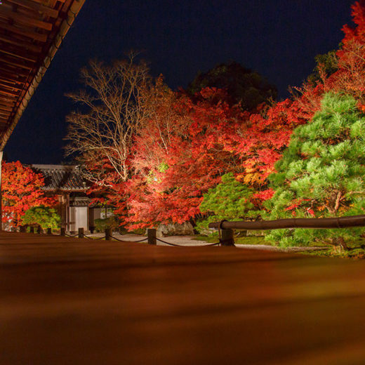 鮮豔的紅葉和深綠色苔蘚的美麗對比 有關京都紅葉景點 大原三千院 的介紹 Caedekyoto カエデ京都 紅葉と伝統美を引き継ぐバッグ