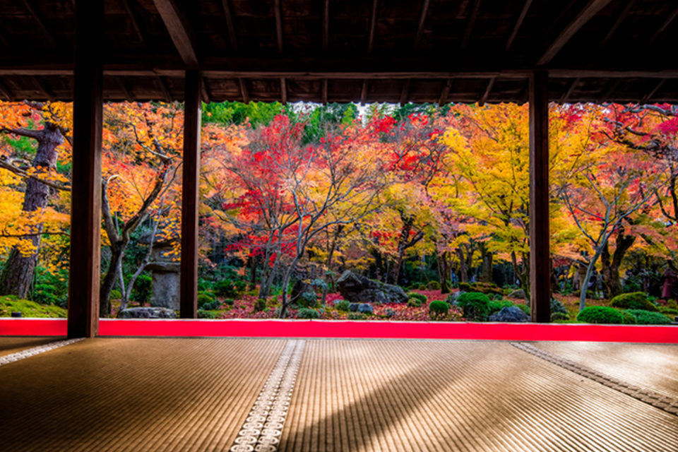 京都の中でも 額縁紅葉の名所として有名な 圓光寺 とは Caedekyoto カエデ京都 紅葉と伝統美を引き継ぐバッグ
