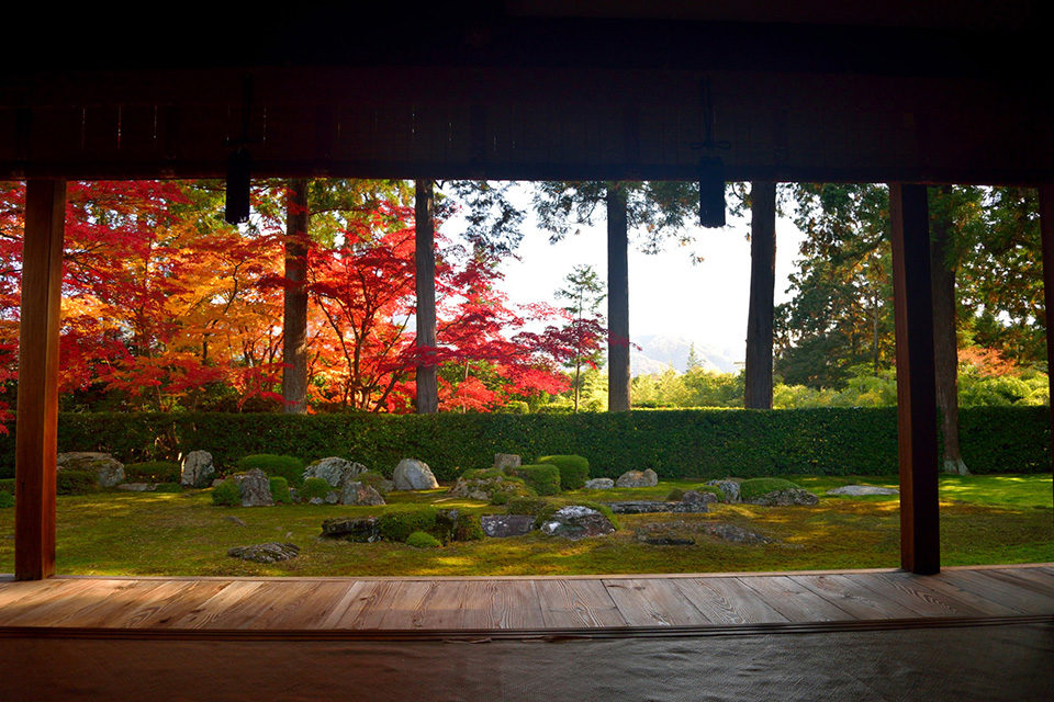 想要追蹤京都紅葉 推薦2條最好的駕駛路線 Caedekyoto カエデ京都 紅葉と伝統美を引き継ぐバッグ