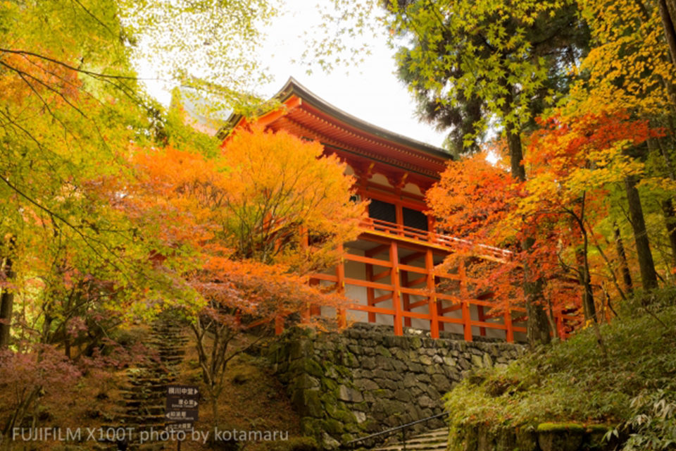 哲学の道 永観堂 南禅寺 清水寺 東福寺 秋の京都 東山界隈の立ち回り方をご案内 Caedekyoto カエデ京都 紅葉と伝統美を引き継ぐバッグ