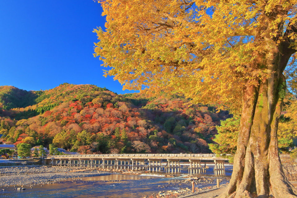 紅葉の嵐山渡月橋