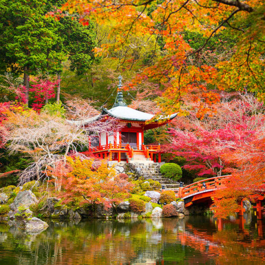 京都の紅葉を楽しむなら大覚寺へ おすすめポイントや周辺観光スポットは Caedekyoto カエデ京都 紅葉と伝統美を引き継ぐバッグ