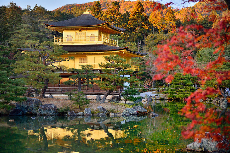 京都の紅葉を見るなら鹿苑寺 金閣寺 京都の名所だからこそ やはり整理しておきたい金閣寺のあれこれ Caedekyoto カエデ京都 紅葉と伝統美を引き継ぐバッグ
