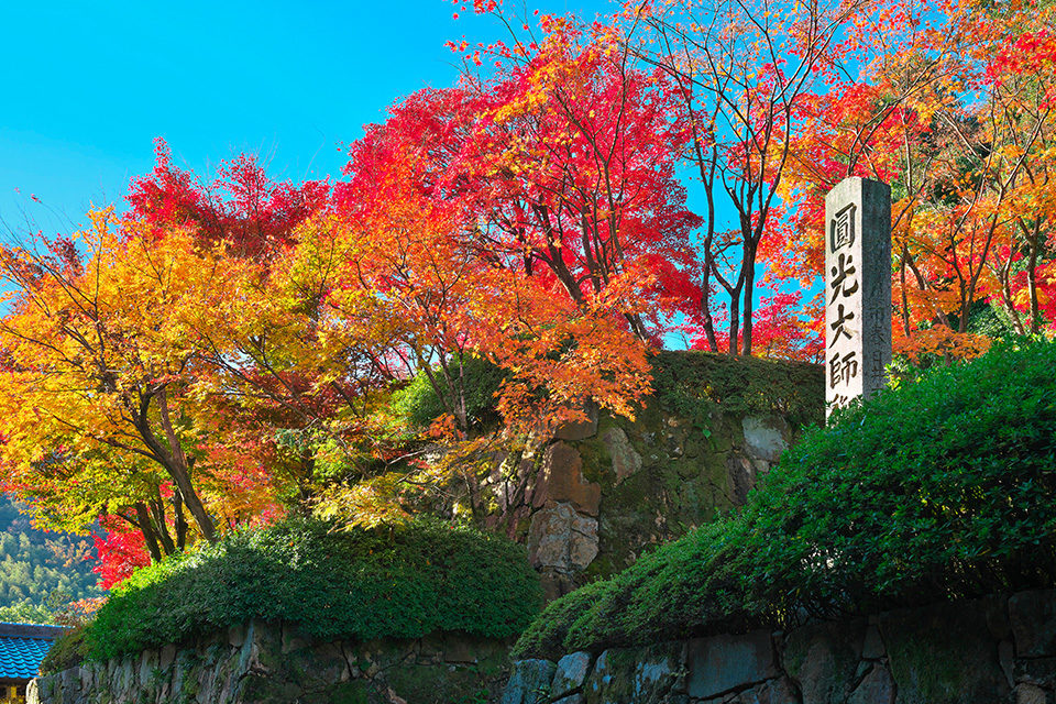 京都の紅葉は京都市だけじゃない 長岡京市で楽しむことができる紅葉の名所をご紹介 Caedekyoto カエデ京都 紅葉と伝統美を引き継ぐバッグ