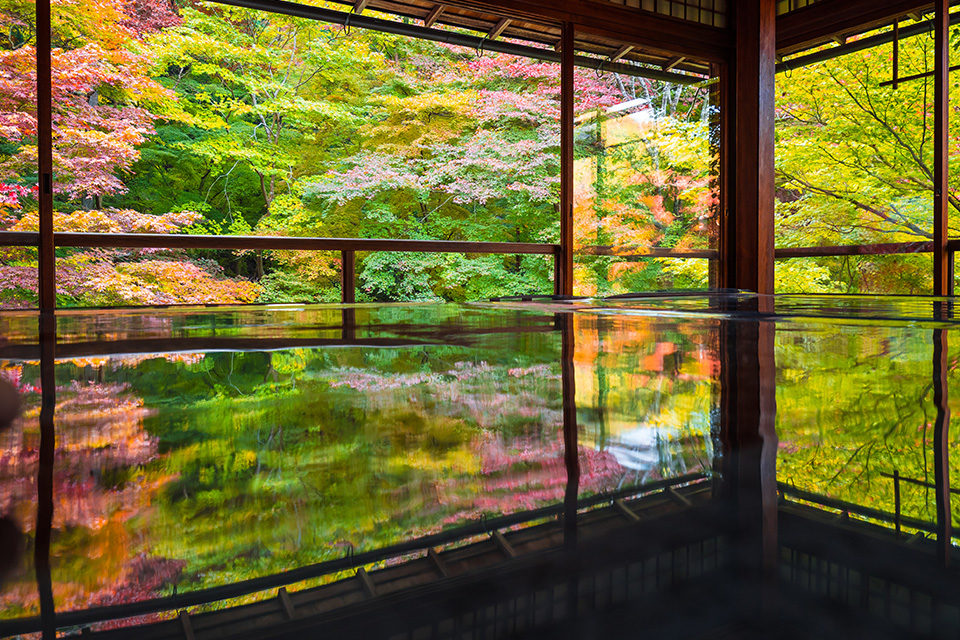 京都の人気スポット 瑠璃光院 で見られる紅葉の美しさの秘密とは 一番の見どころや見頃をご紹介 Caedekyoto カエデ京都 紅葉と伝統美を引き継ぐバッグ