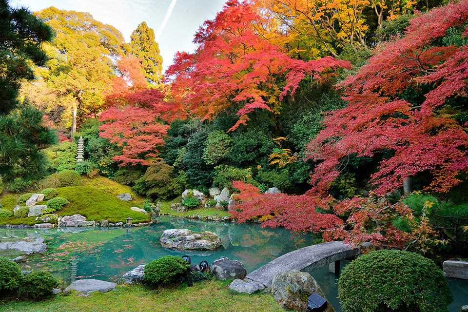 京都の美しい紅葉を見るなら 青蓮院 がおすすめ 青蓮院での紅葉の見どころや周辺の紅葉スポットをご紹介 Caedekyoto カエデ京都 紅葉と伝統美を引き継ぐバッグ