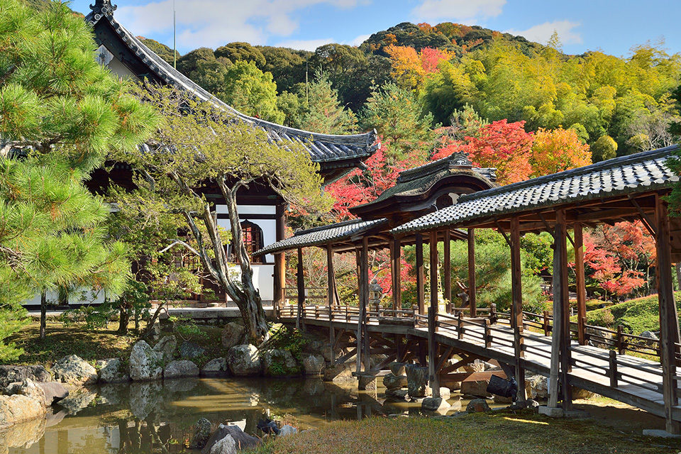 不要錯過的亮燈夜遊活動 關於京都高台寺的紅葉情報 Caedekyoto カエデ京都 紅葉と伝統美を引き継ぐバッグ