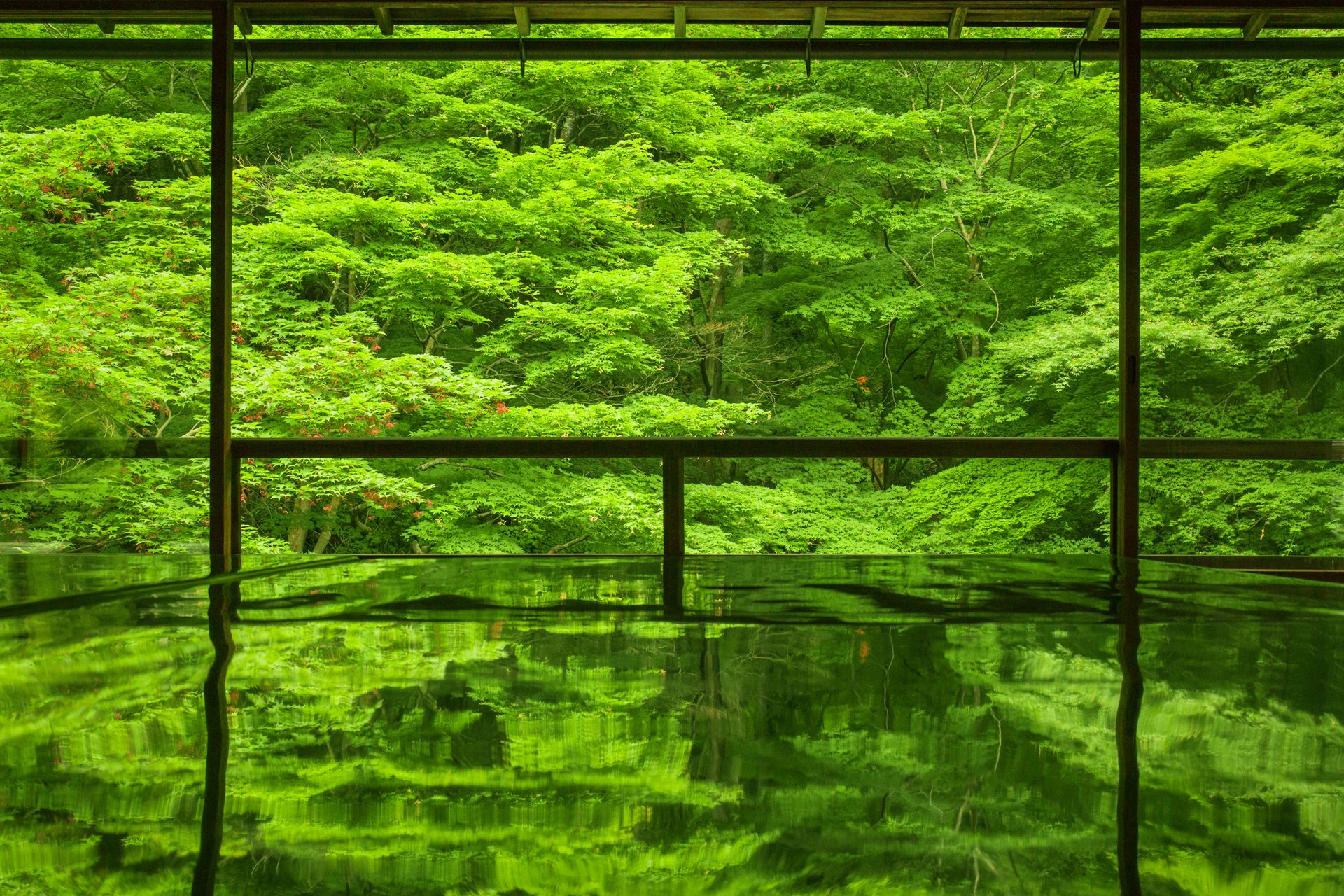 新緑の京都 瑠璃光院の青紅葉 Caedekyoto カエデ京都 紅葉と伝統美を引き継ぐバッグ