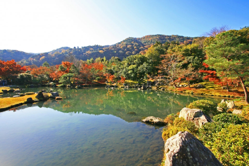 天龍寺の紅葉