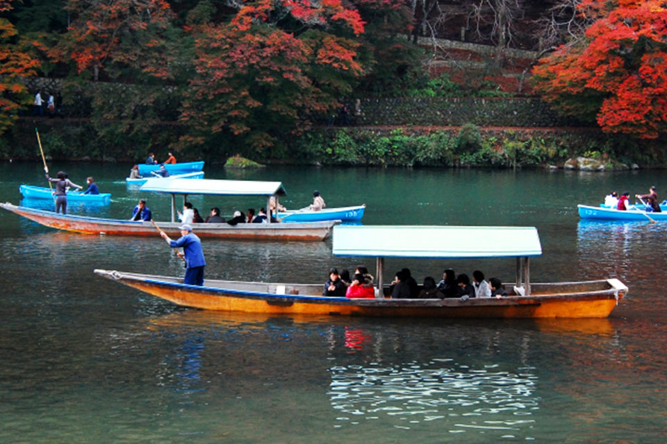 red maple leaves in Kyoto