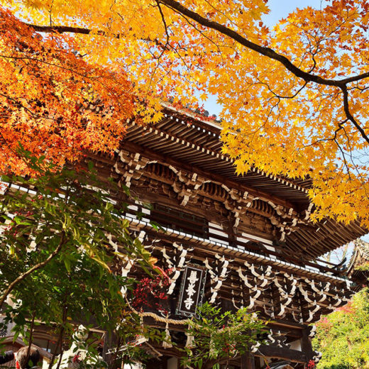 京都の善峯寺 紅葉