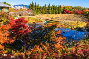 Get off at Kyoto Station of Shinkansen Railway, then only needs 20 minutes to arrive at the red leaves spots!!