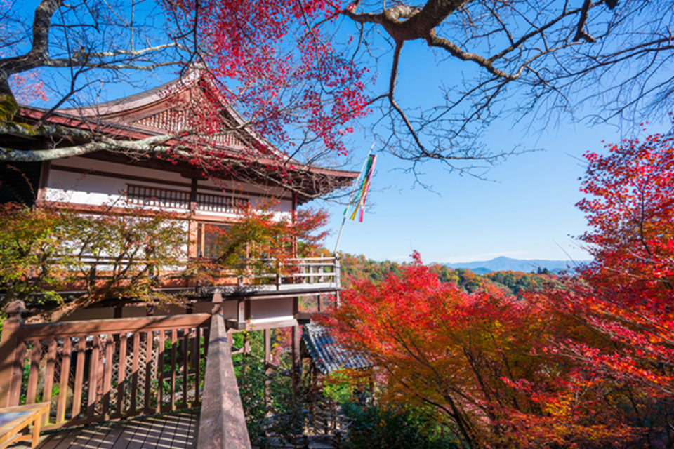 千光寺の紅葉