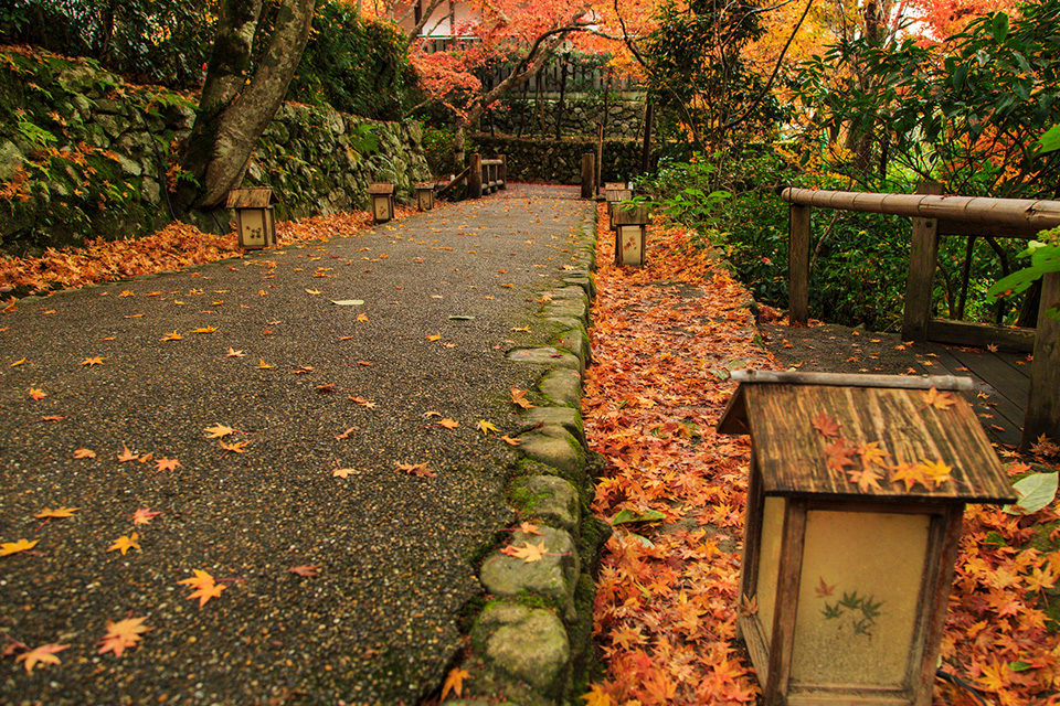 宝泉院の紅葉