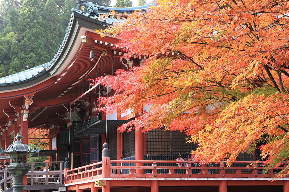 Mount Hiei - Enryaku-ji Temple