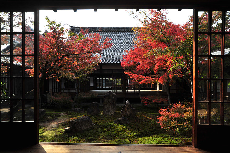 混雑少なめな穴場紅葉スポット？！広大な敷地を持つ建仁寺で京都の紅葉を心ゆくまで堪能しましょう！