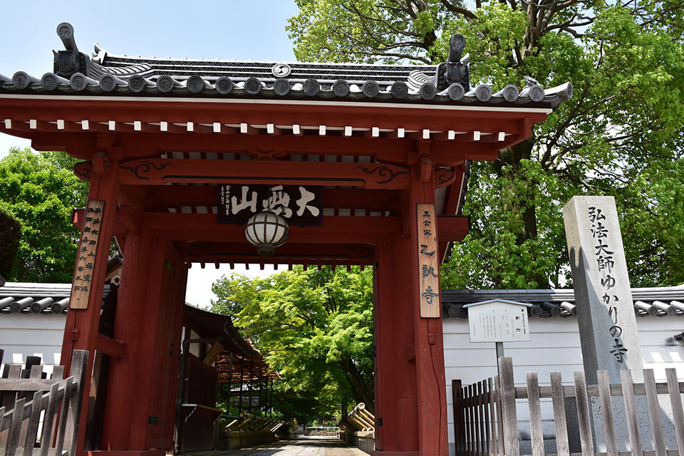 新緑の乙訓寺