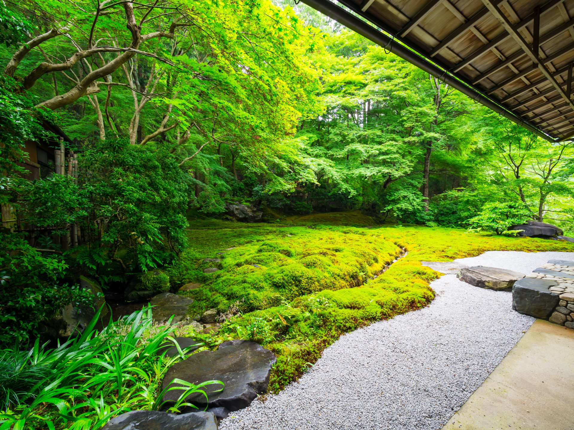 春の京都　瑠璃光院の庭