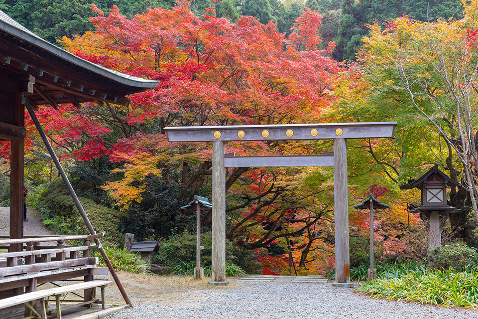 秋の日向大神宮