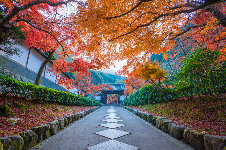 最勝院の紅葉