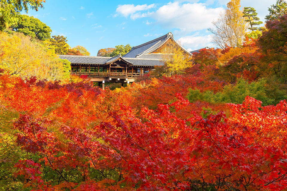 秋の京都にはインスタ映え間違いなしの紅葉スポットがたくさん！！とくにおすすめのインスタ映えスポットをご紹介！