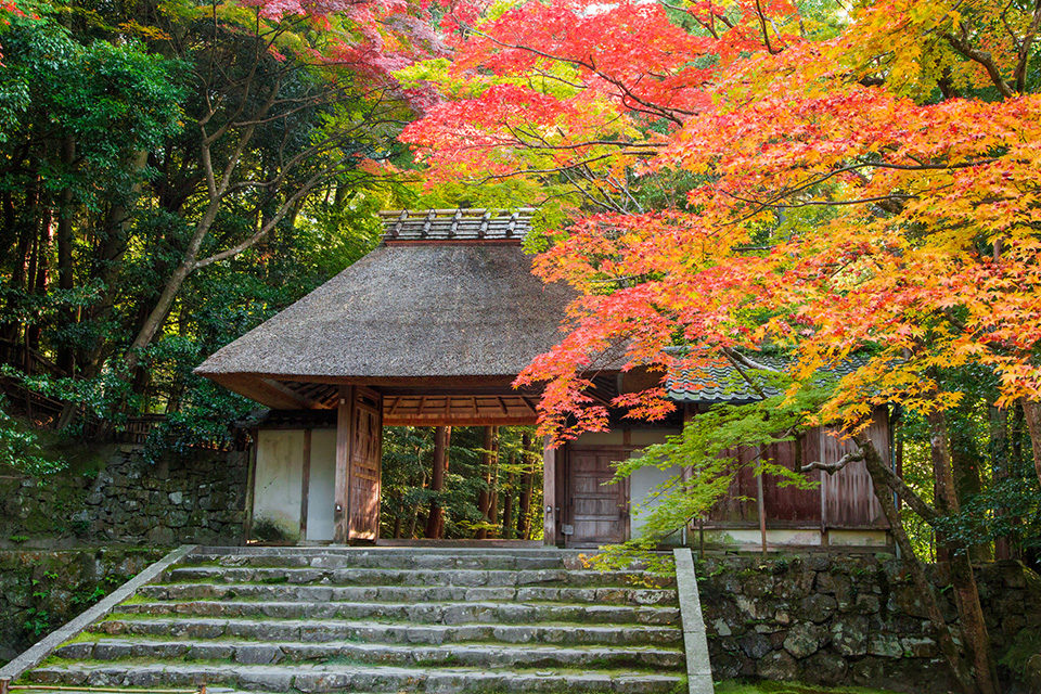 第15位: 法然院