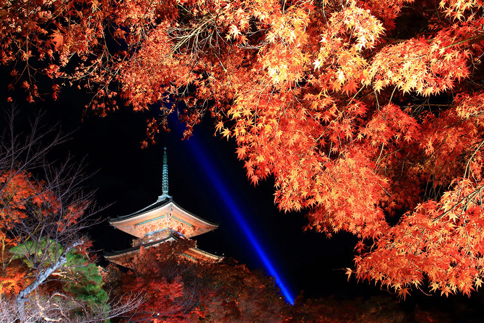 NO2: Famous and crowded Kiyomizu-dera Temple, enjoy the night lighten-up event