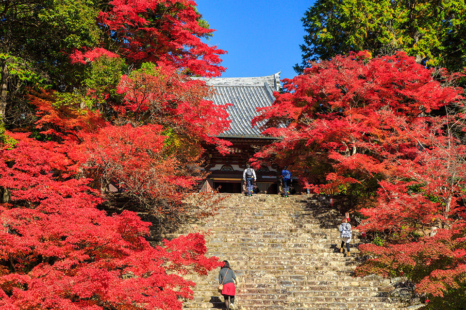 Jingo-Ji Temple