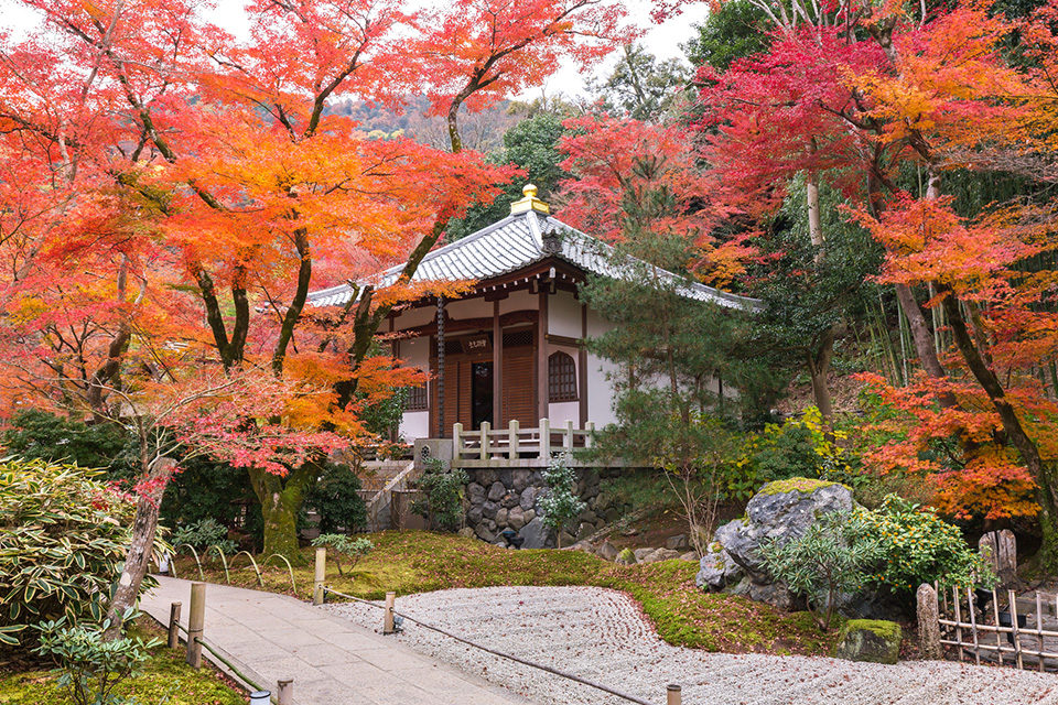 宝厳院の紅葉