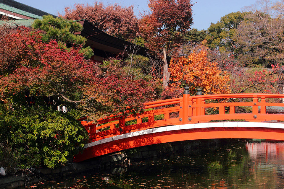 京都の秋の神泉苑