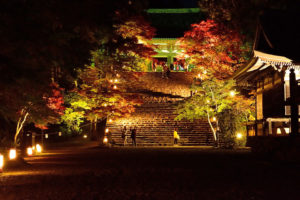 京都の紅葉・ライトアップ情報。2023年に訪れるべきなのはここ！