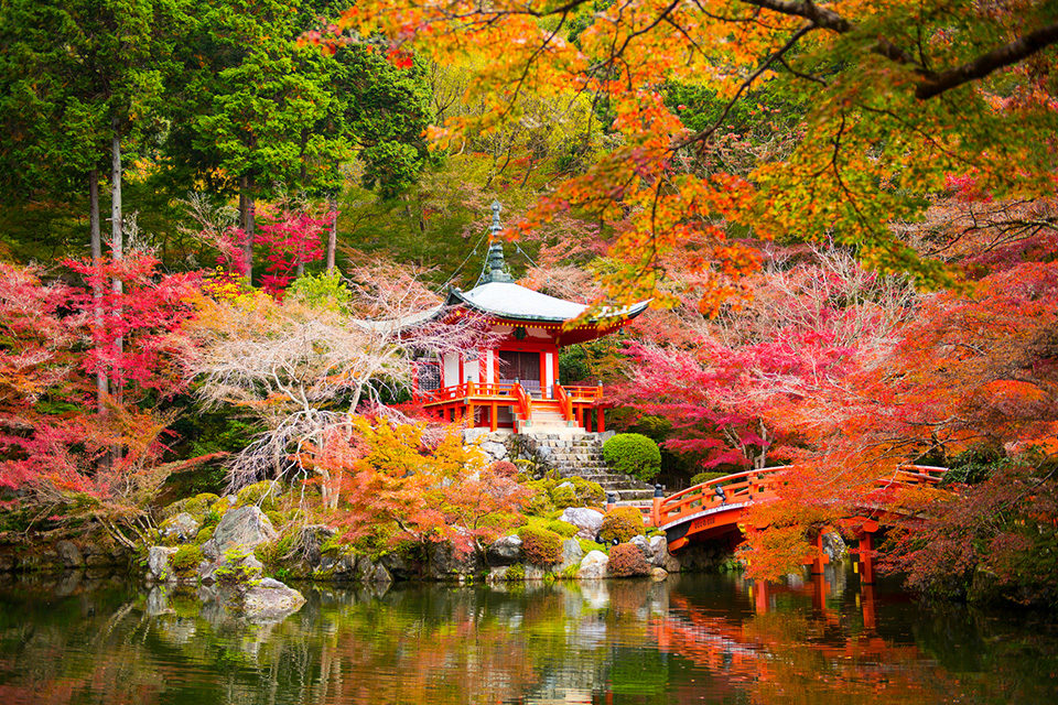 花の季節だけではない、秋には秋の美しさ。世界遺産、醍醐寺の楽しみ方をまとめてご紹介