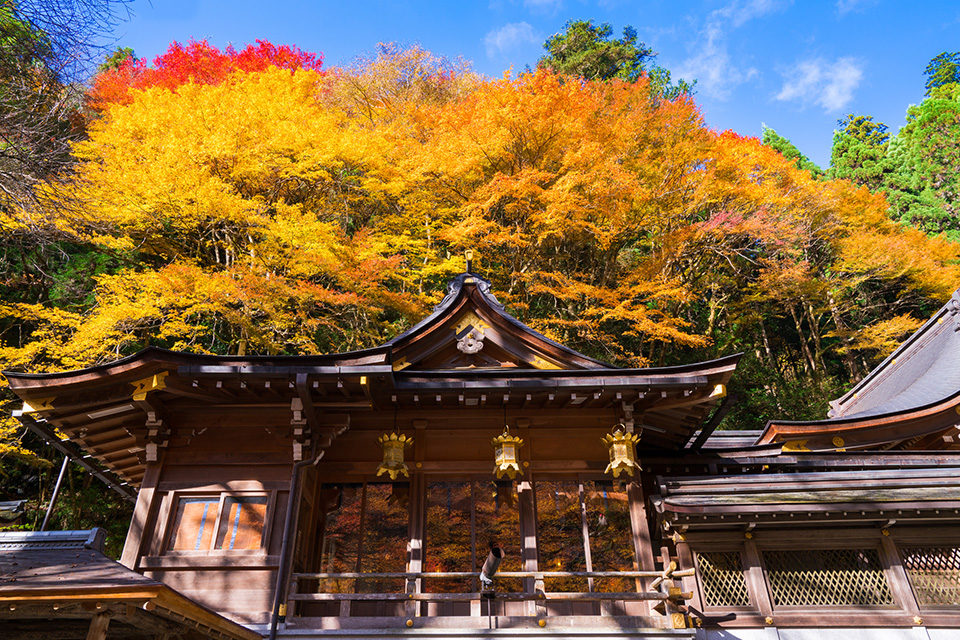 貴船神社の紅葉