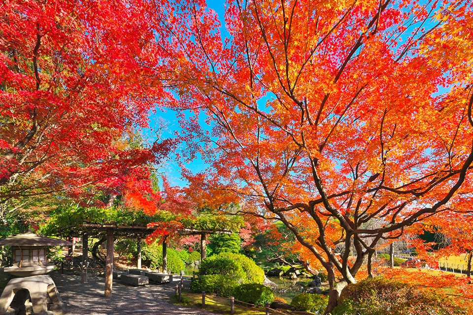 Jonangu Shrine