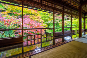 不僅是有名的地方。在蓮華寺的實相院,····· 也有京都的秋天人氣急劇上升的景點。