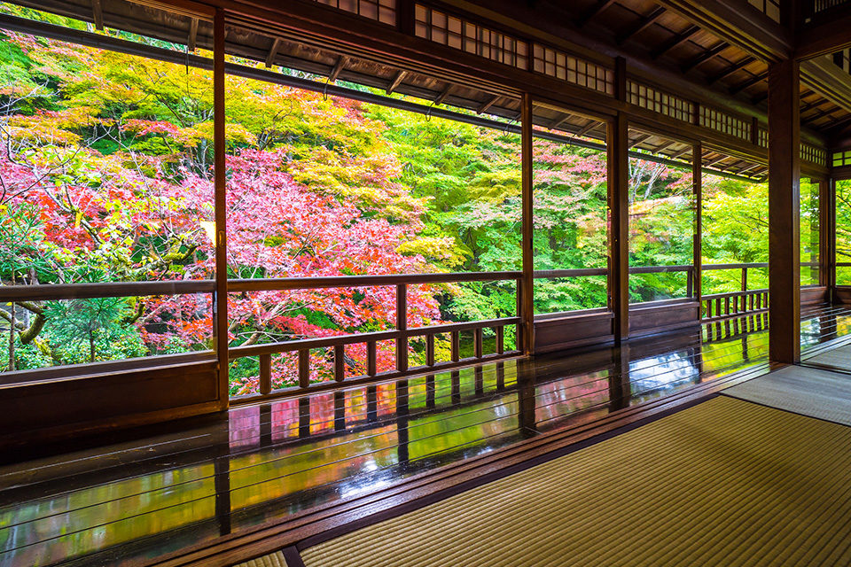 錦秋の瑠璃光院