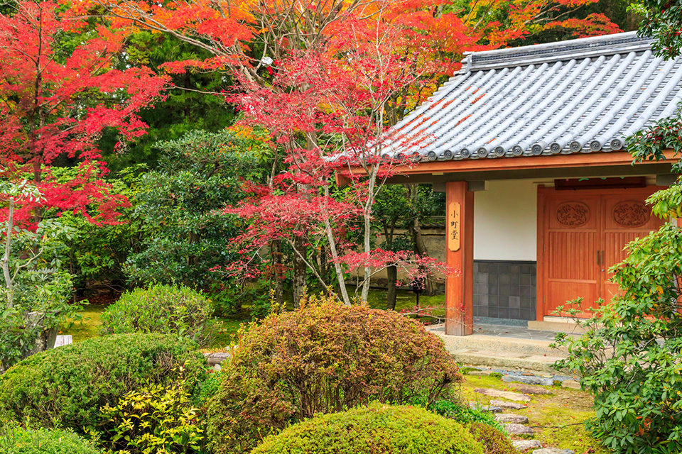 小野小町ゆかりのお寺・「随心院」の紅葉は格別な美しさ！見どころやアクセス方法などをご紹介！