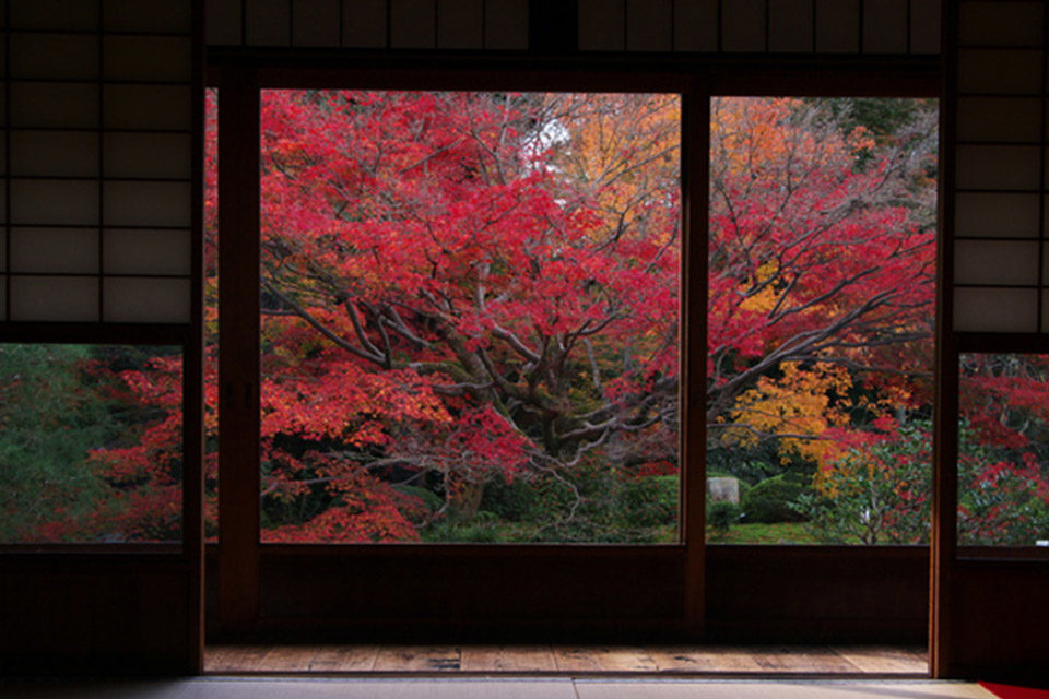額縁越しに見る庭園の紅葉はまるで美しい絵画！京都の額縁スポットをご紹介！！