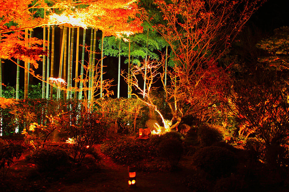 京都の紅葉 ライトアップ情報 2021年に訪れるべきなのはここ Caedekyoto カエデ京都 紅葉と伝統美を引き継ぐバッグ