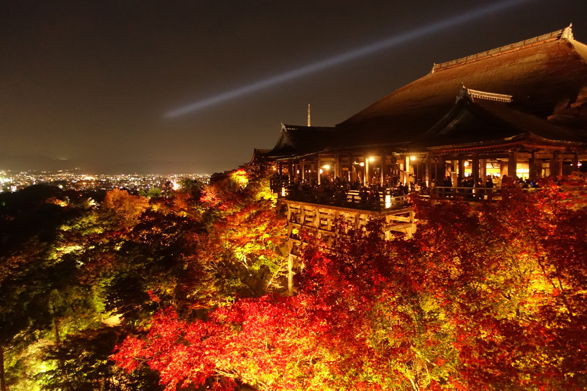 京都の中でも欠かせない名所である清水寺の紅葉情報 Caedekyoto カエデ京都 紅葉と伝統美を引き継ぐバッグ