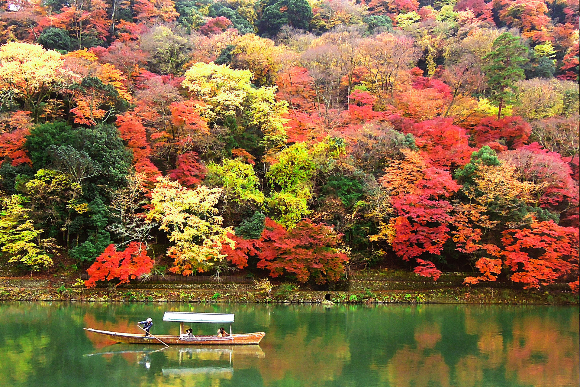 如果到京都旅遊 絕不能錯過的紅葉景點 嵐山 Caedekyoto カエデ京都 紅葉と伝統美を引き継ぐバッグ