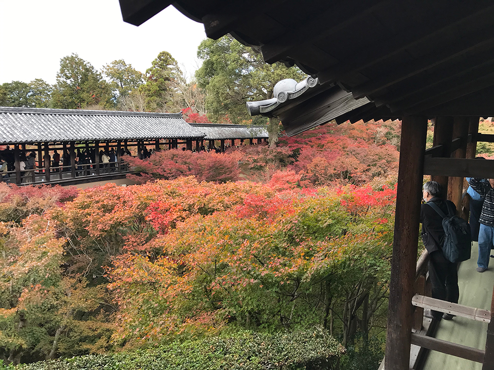 東福寺　通天橋　紅葉