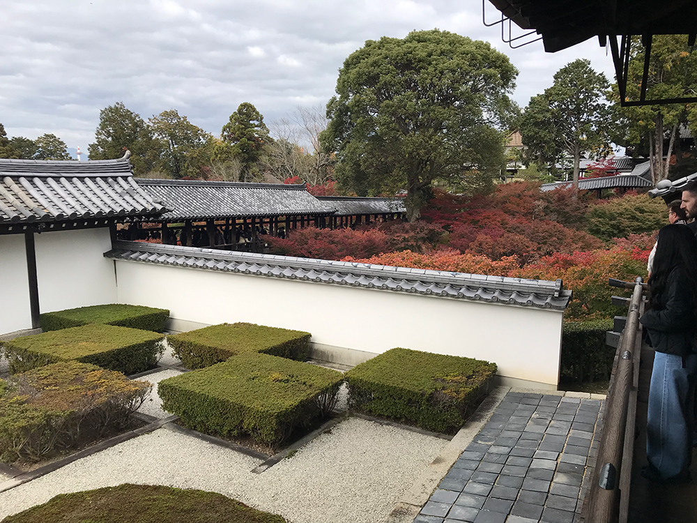 東福寺　紅葉　撮影スポット