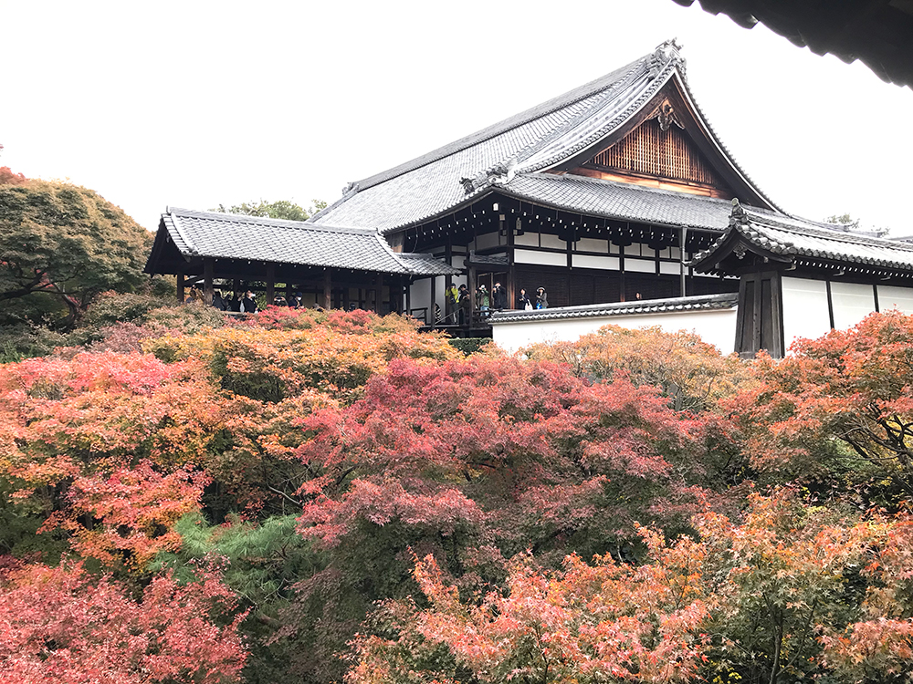 東福寺　通天橋　紅葉