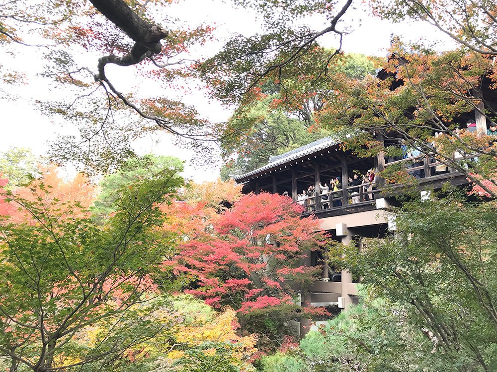 東福寺　紅葉　撮影スポット
