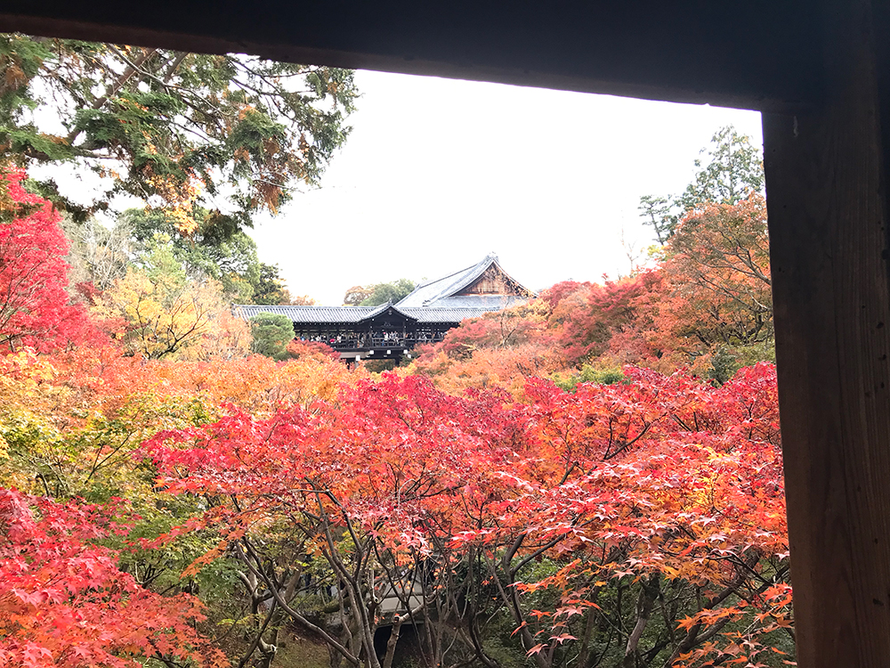 東福寺　通天橋　紅葉